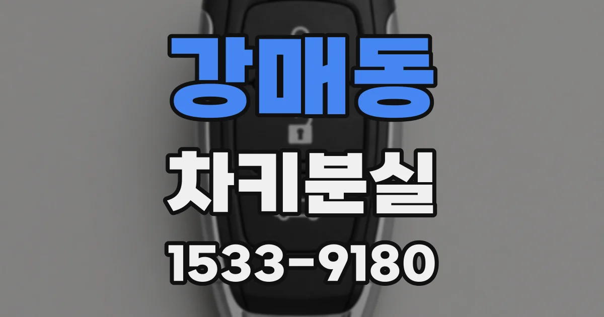 강매동 차키분실