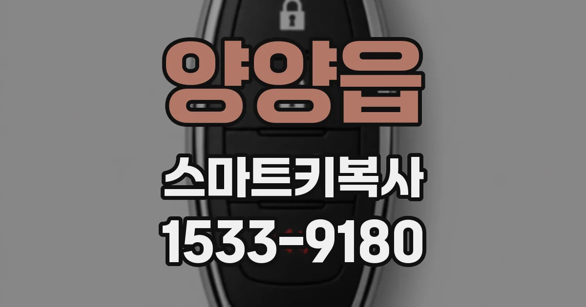 양양읍 스마트키복사