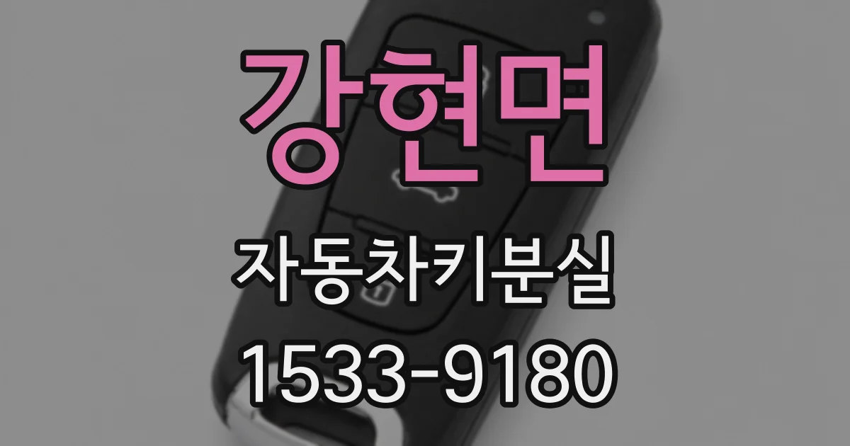 강현면 자동차키분실