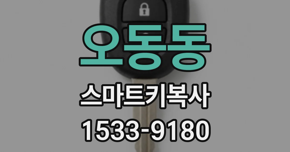 오동동 스마트키복사