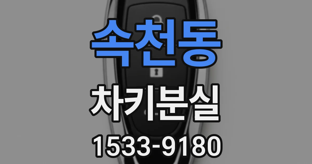 속천동 차키분실