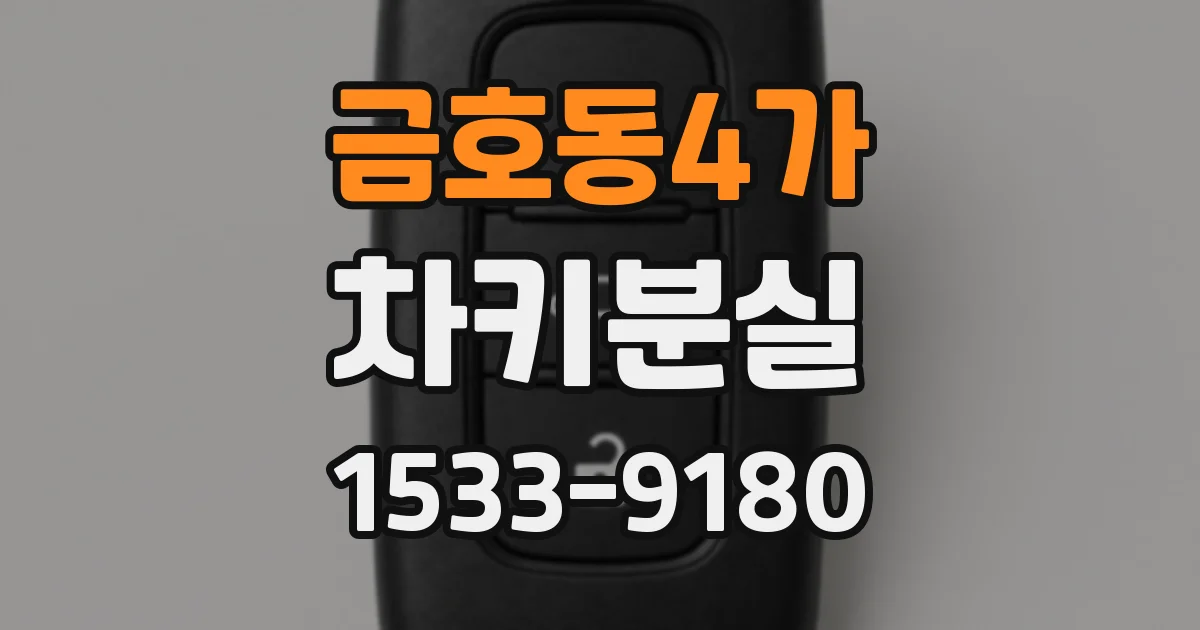금호동4가 차키분실