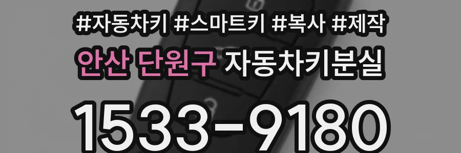 안산 단원구 자동차키분실