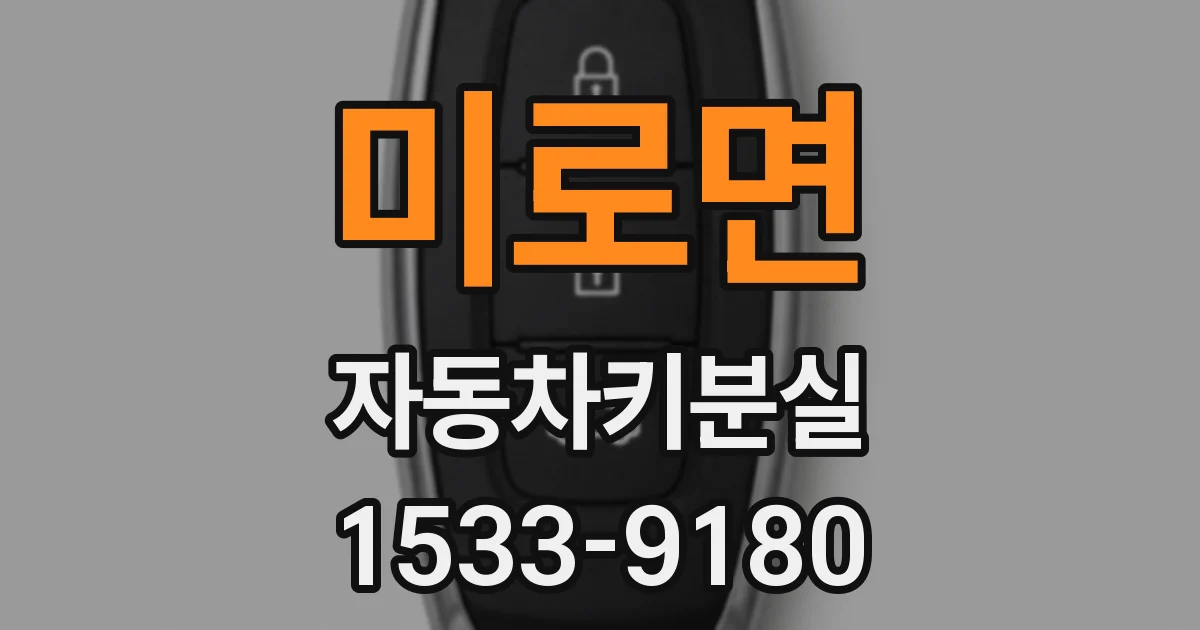 미로면 자동차키분실