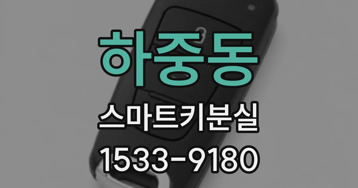 하중동 스마트키분실