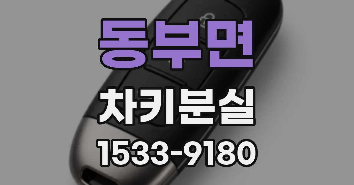 동부면 차키분실