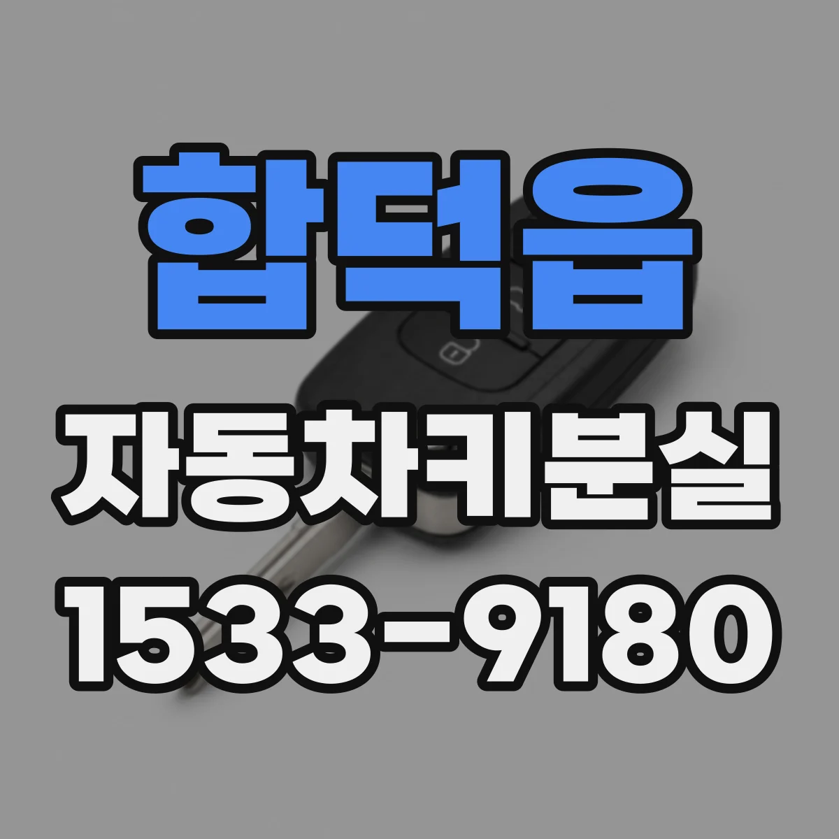 합덕읍 자동차키분실