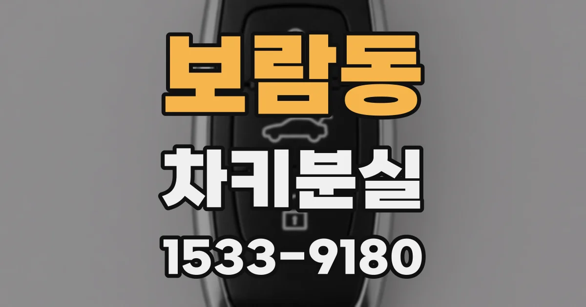 보람동 차키분실