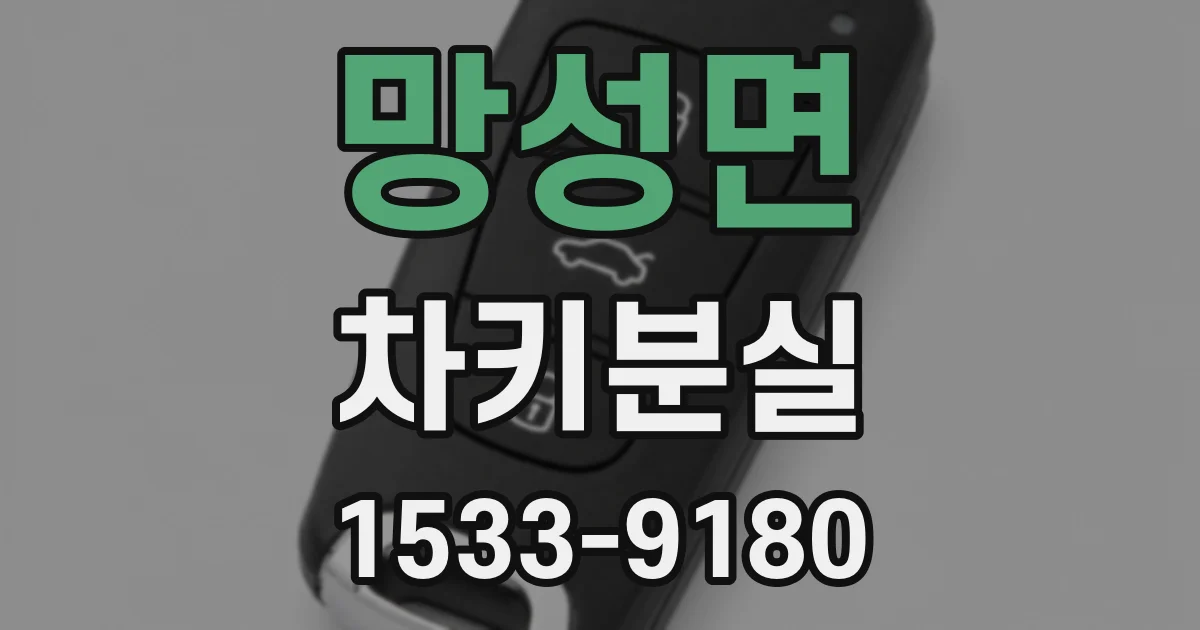 망성면 차키분실