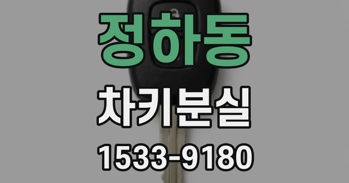 정하동 차키분실