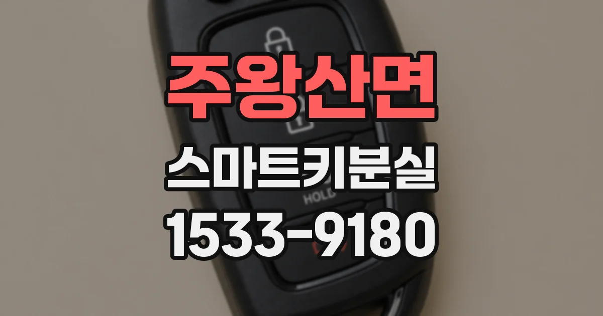 주왕산면 스마트키분실