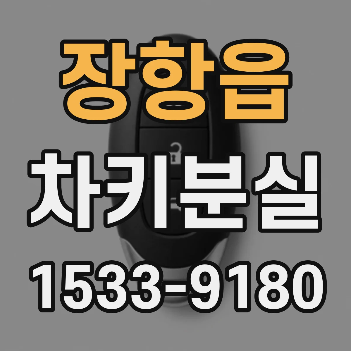 장항읍 차키분실