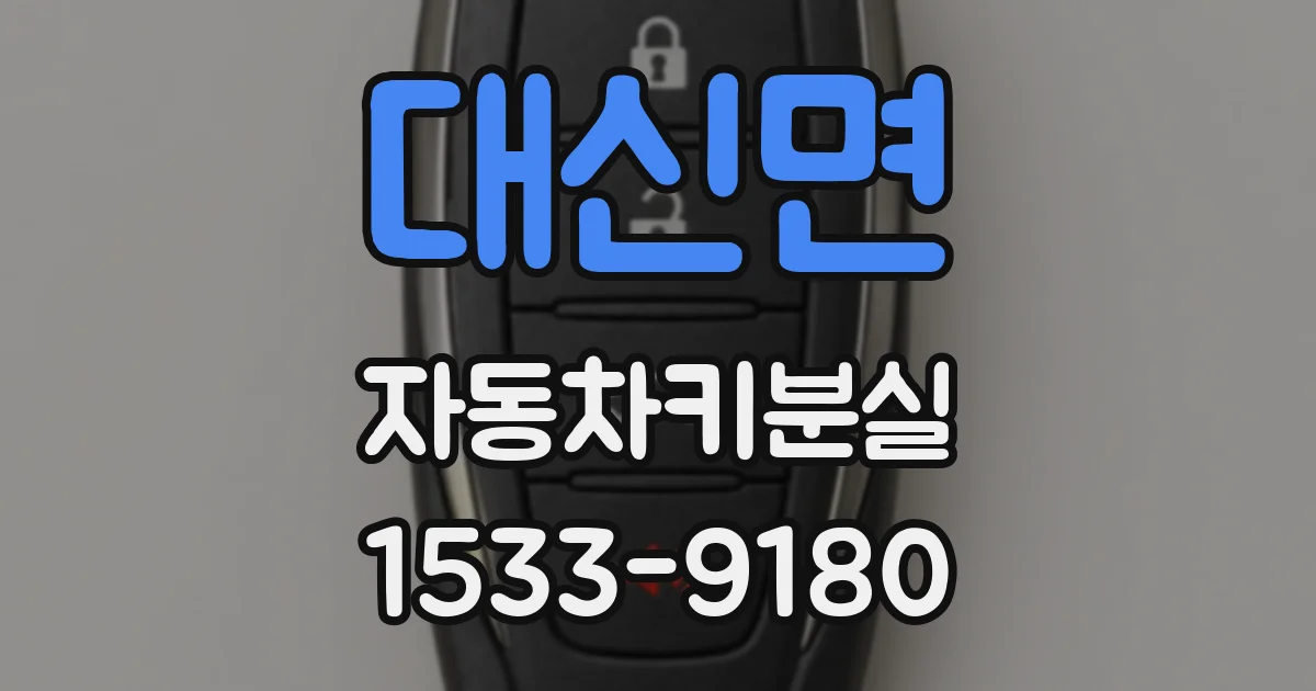 대신면 자동차키분실