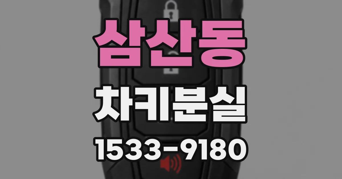 삼산동 차키분실