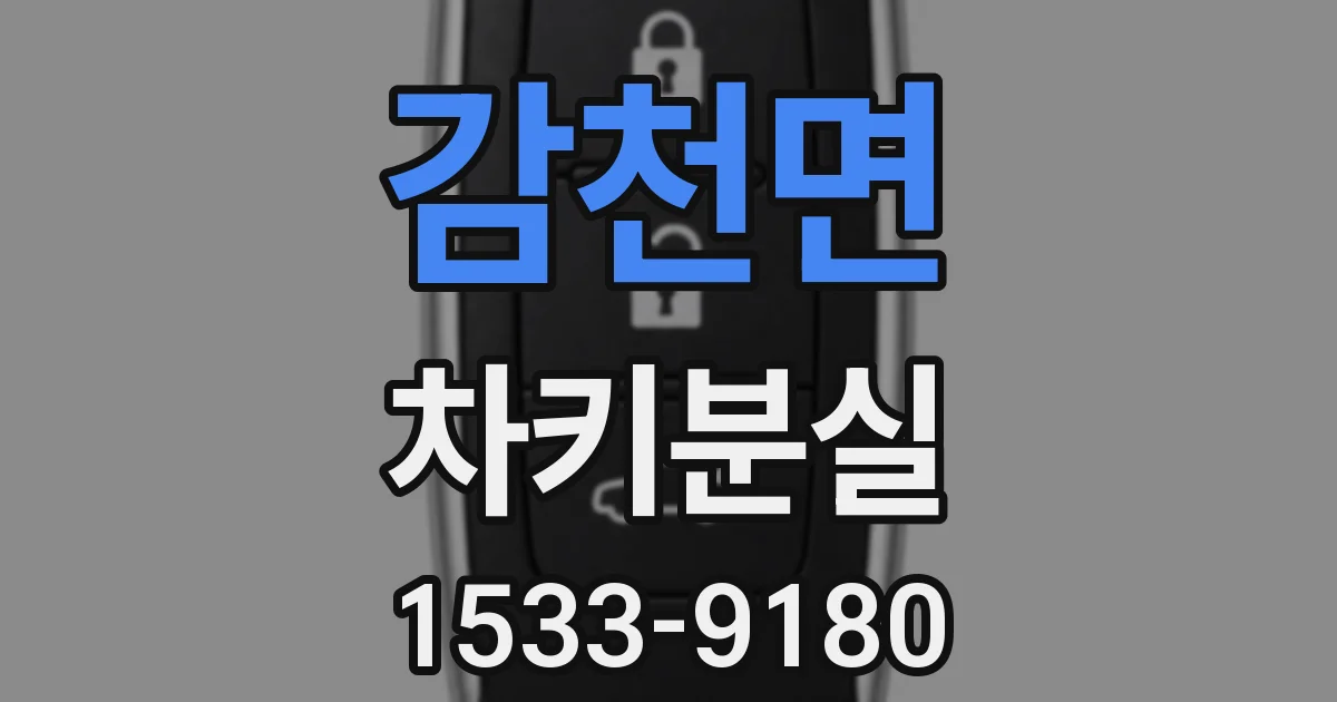 감천면 차키분실