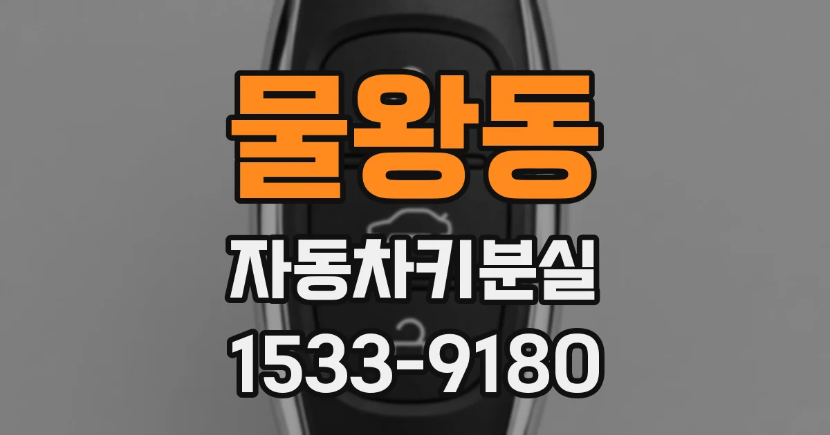 물왕동 자동차키분실