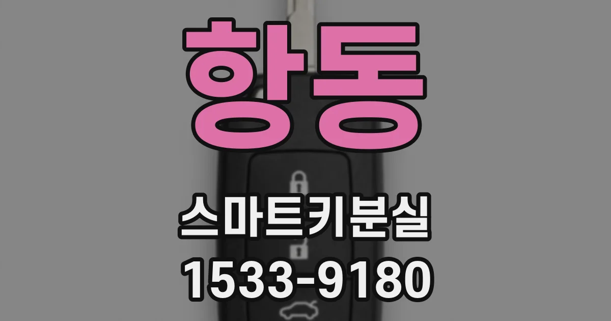 항동 스마트키분실