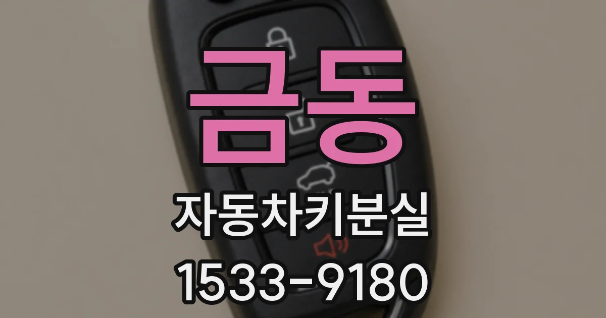 금동 자동차키분실