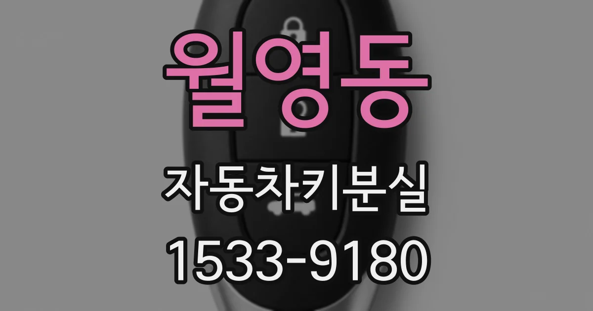 월영동 자동차키분실