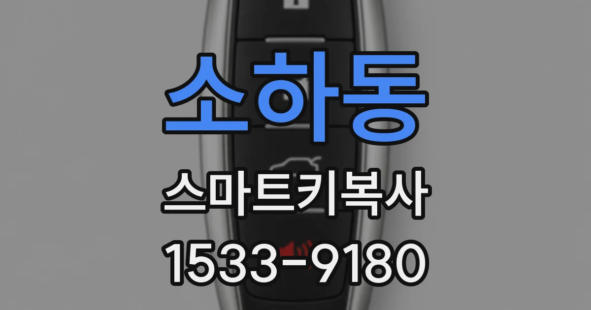 소하동 스마트키복사