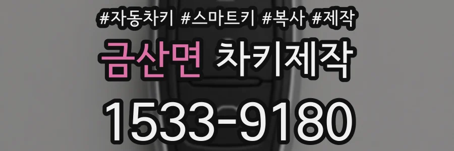 금산면 차키제작