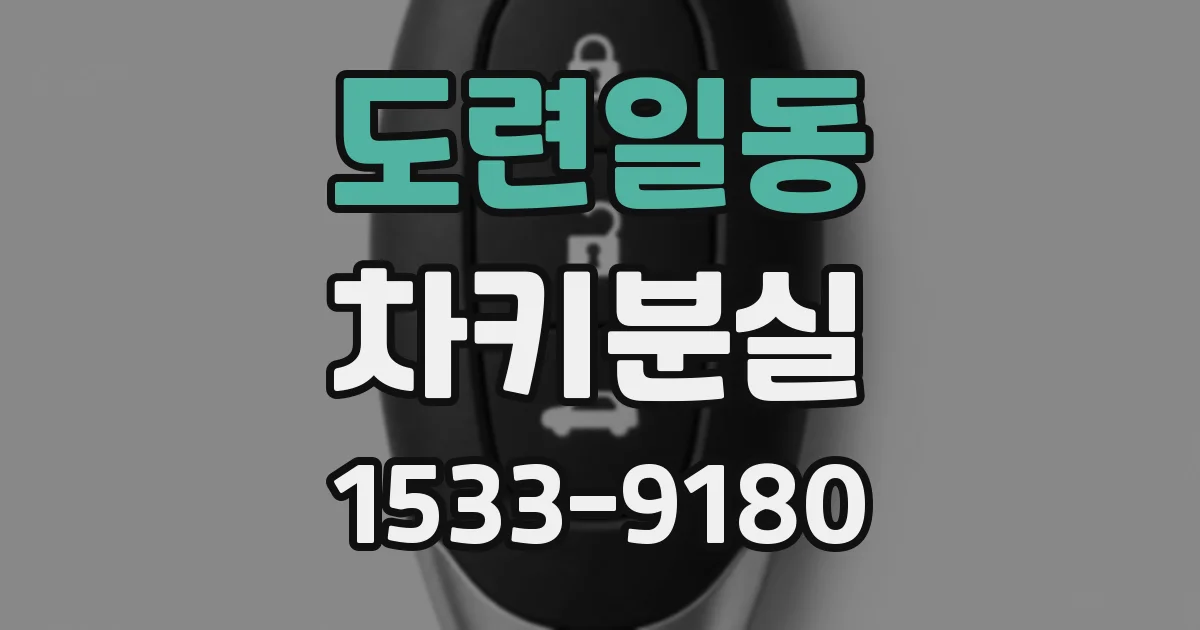 도련일동 차키분실