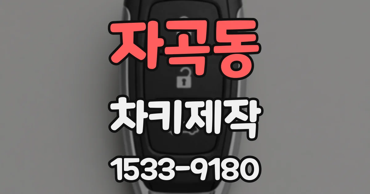 자곡동 차키제작
