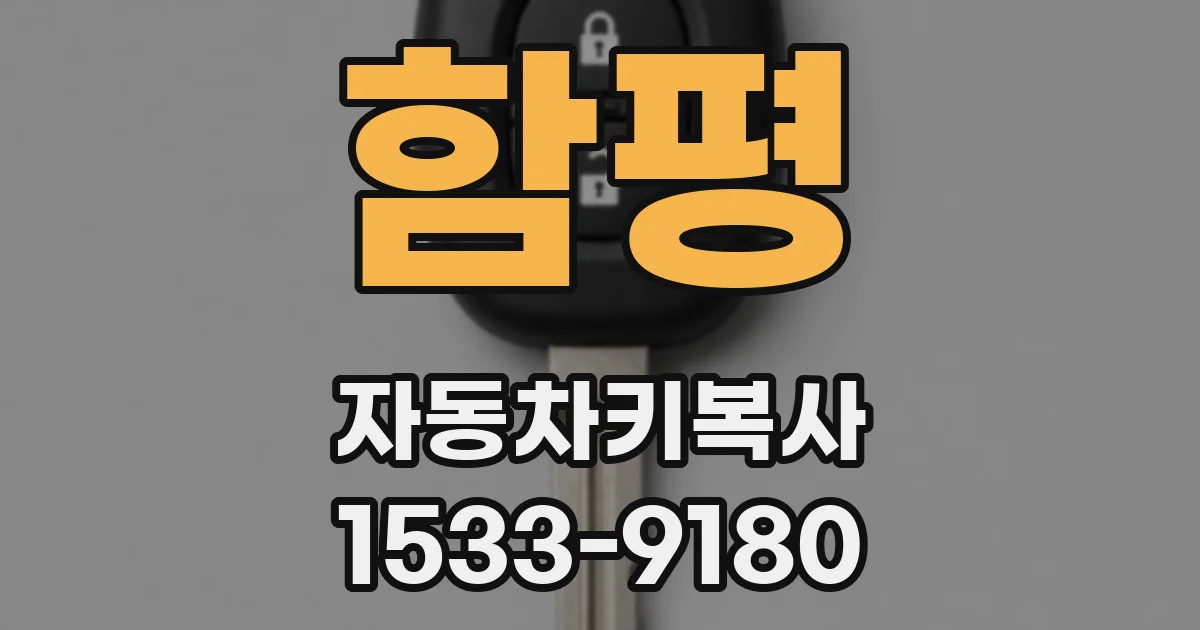 함평 자동차키복사