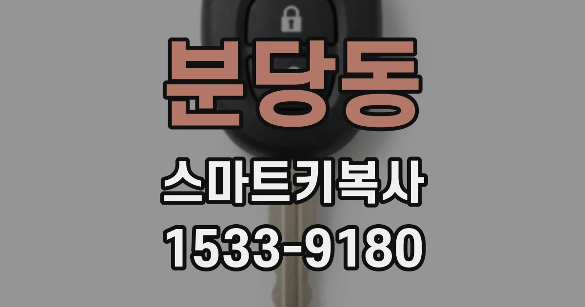 분당동 스마트키복사