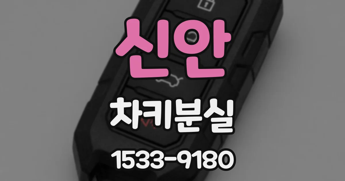 신안 차키분실
