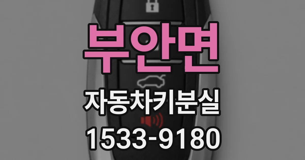 부안면 자동차키분실