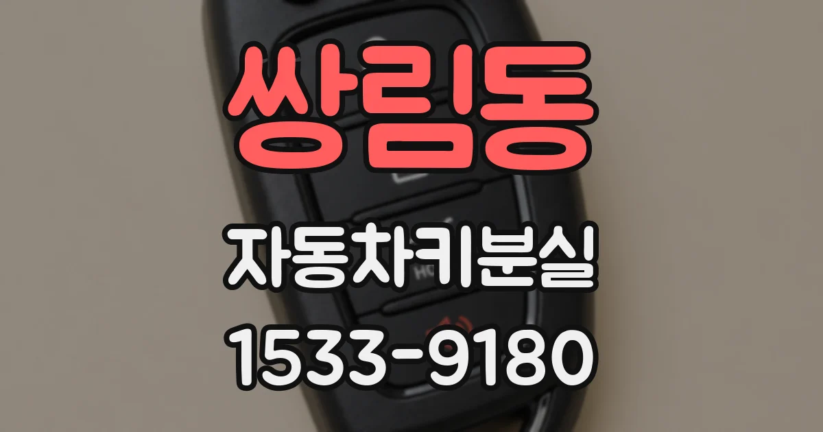 쌍림동 자동차키분실