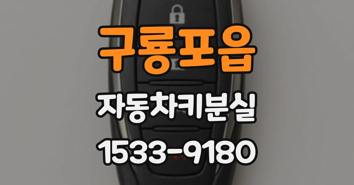 구룡포읍 자동차키분실