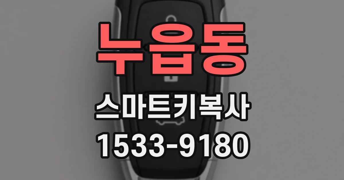 누읍동 스마트키복사