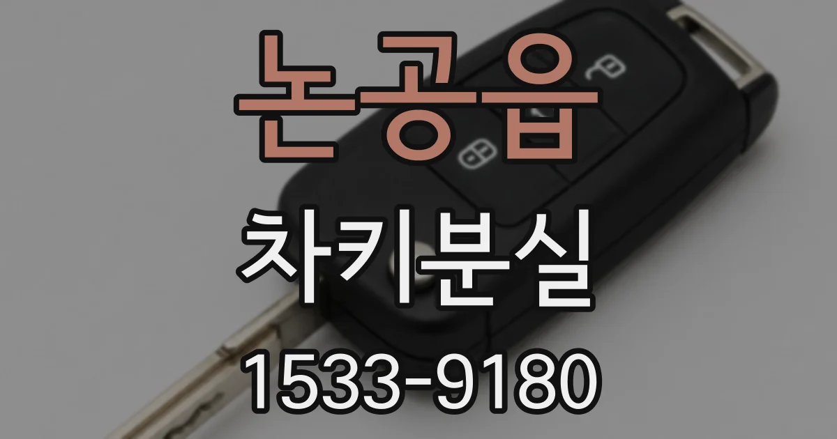 논공읍 차키분실