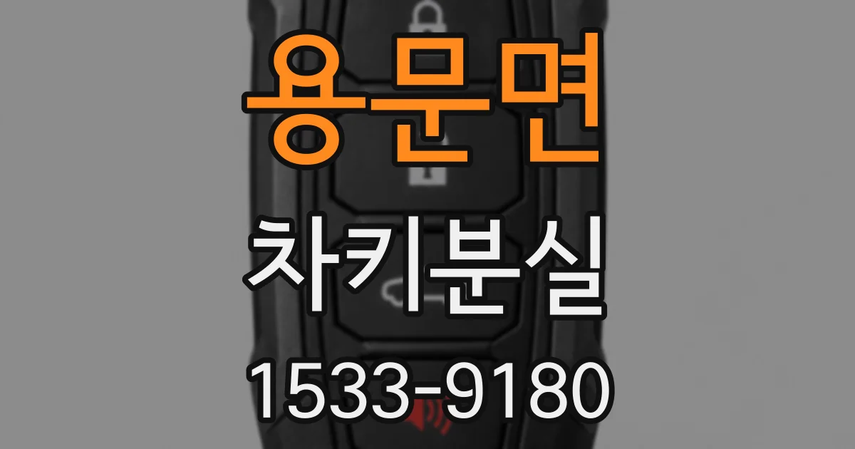 용문면 차키분실