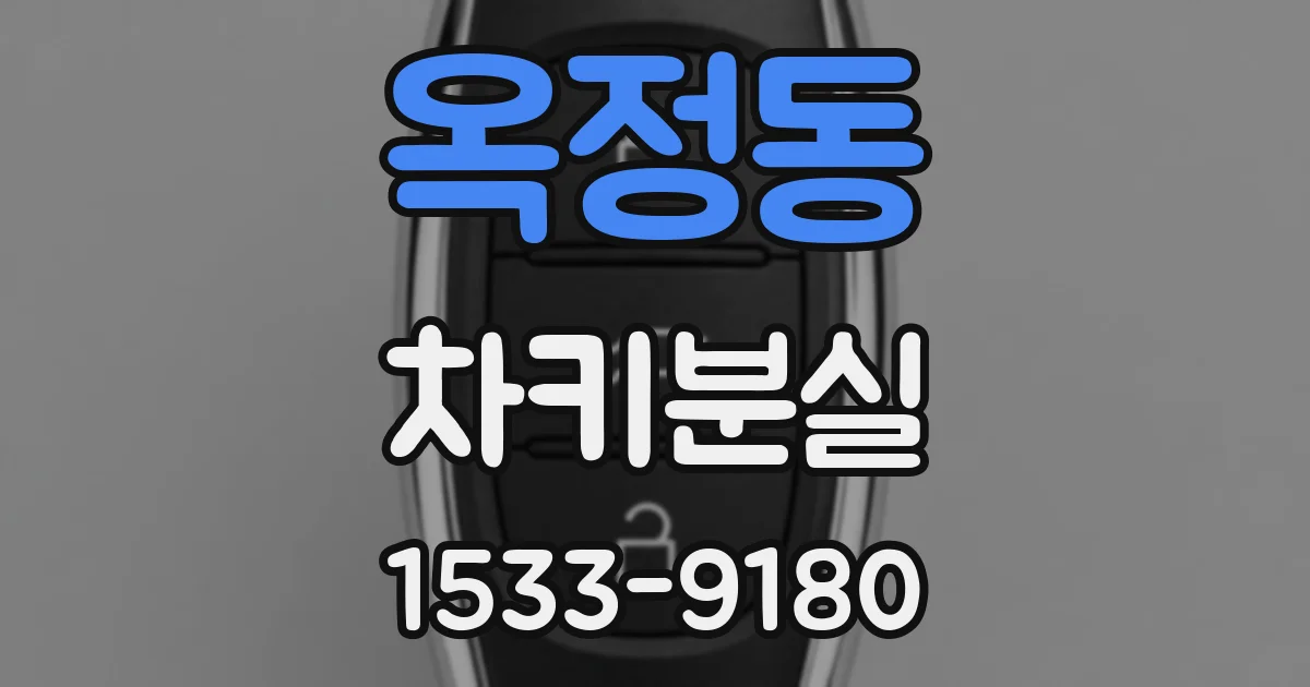 옥정동 차키분실