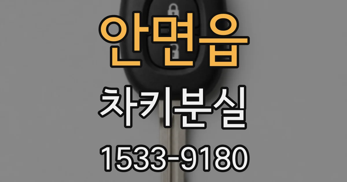 안면읍 차키분실
