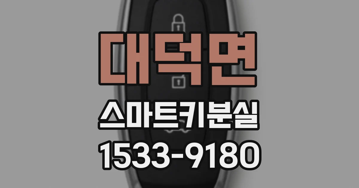 대덕면 스마트키분실