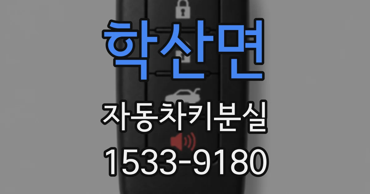 학산면 자동차키분실
