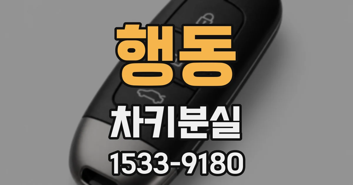 행동 차키분실