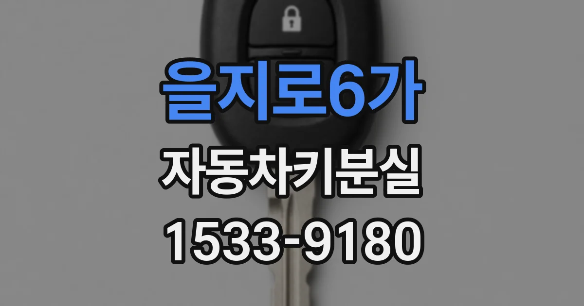 을지로6가 자동차키분실