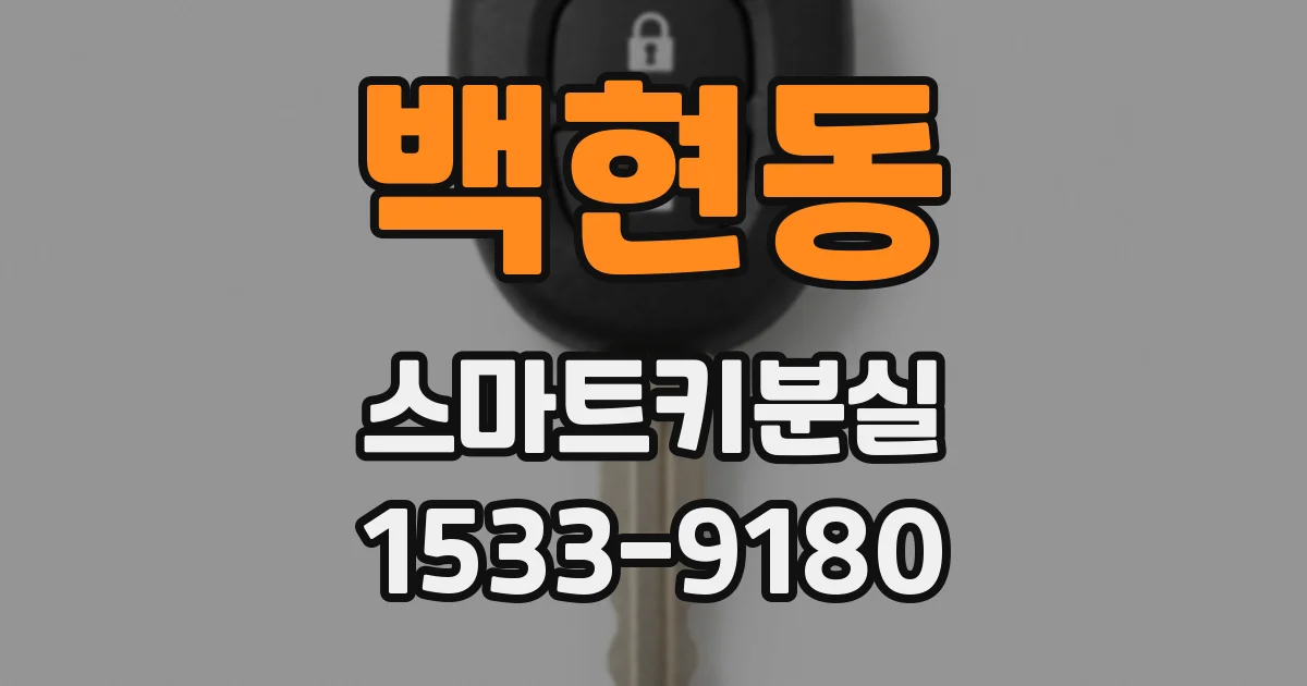 백현동 스마트키분실