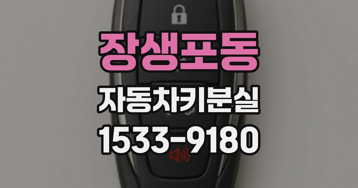 장생포동 자동차키분실