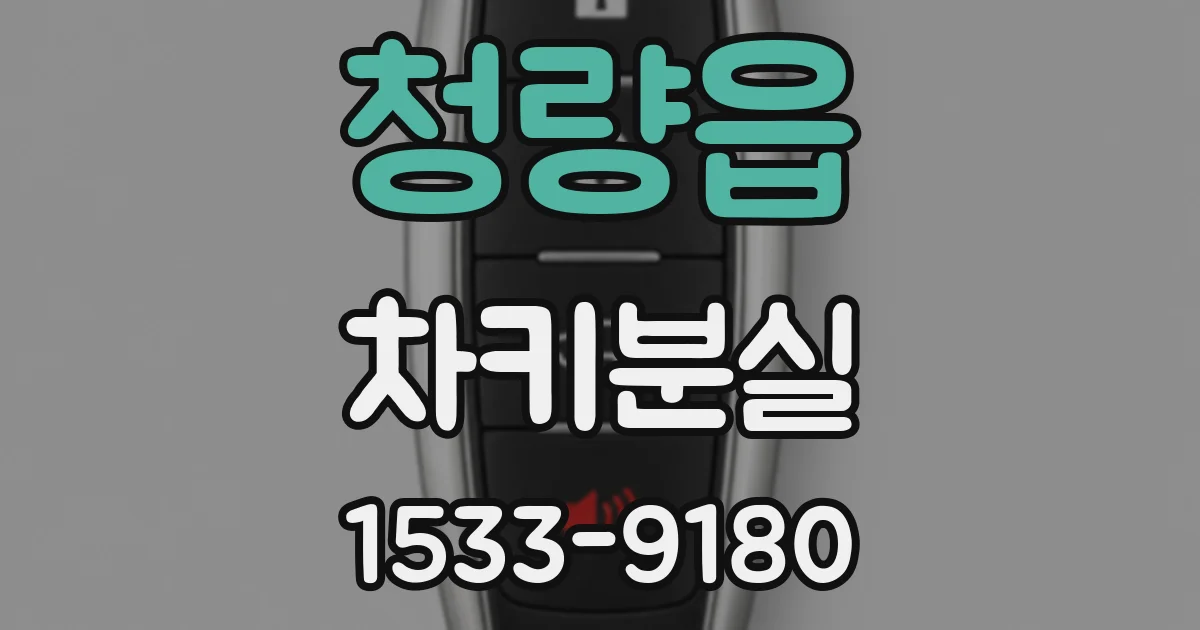 청량읍 차키분실