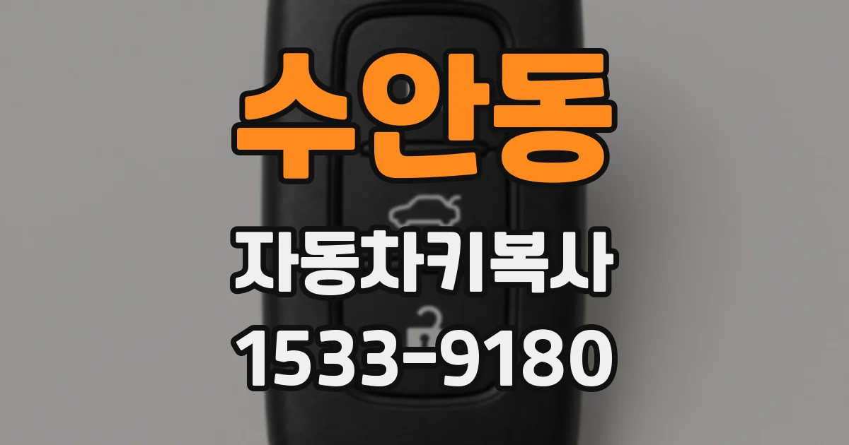 수안동 자동차키복사