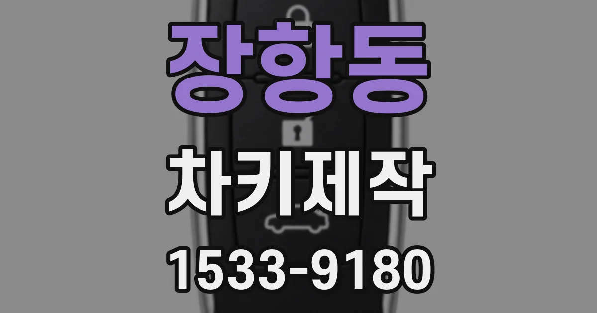 장항동 차키제작