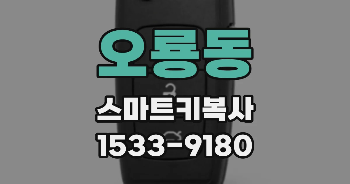 오룡동 스마트키복사