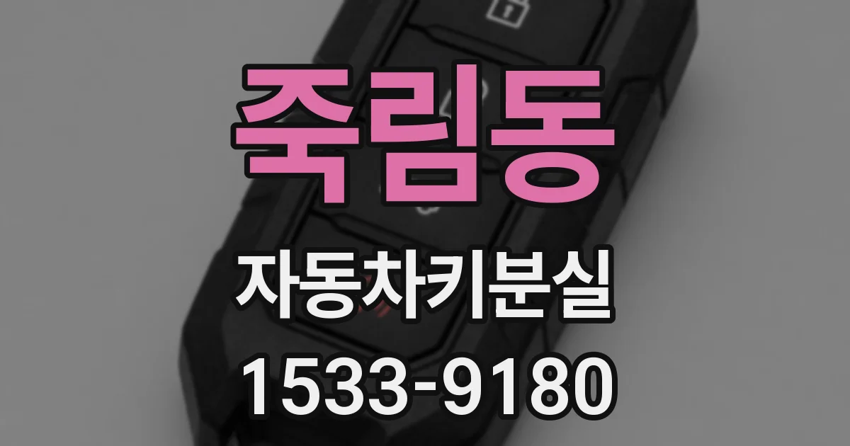 죽림동 자동차키분실