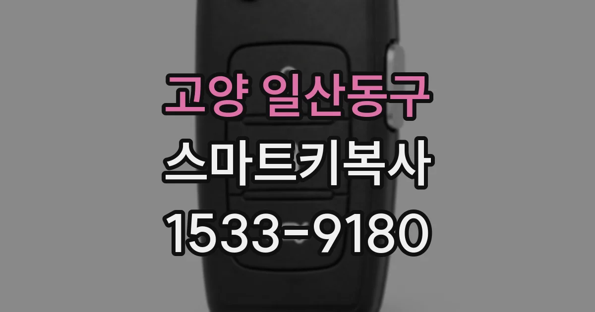 고양 일산동구 스마트키복사